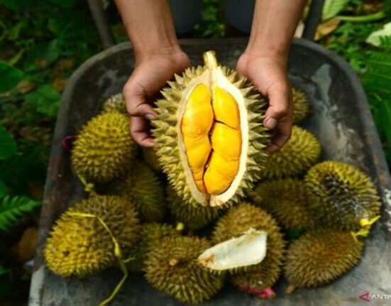 Manfaat Buah Durian