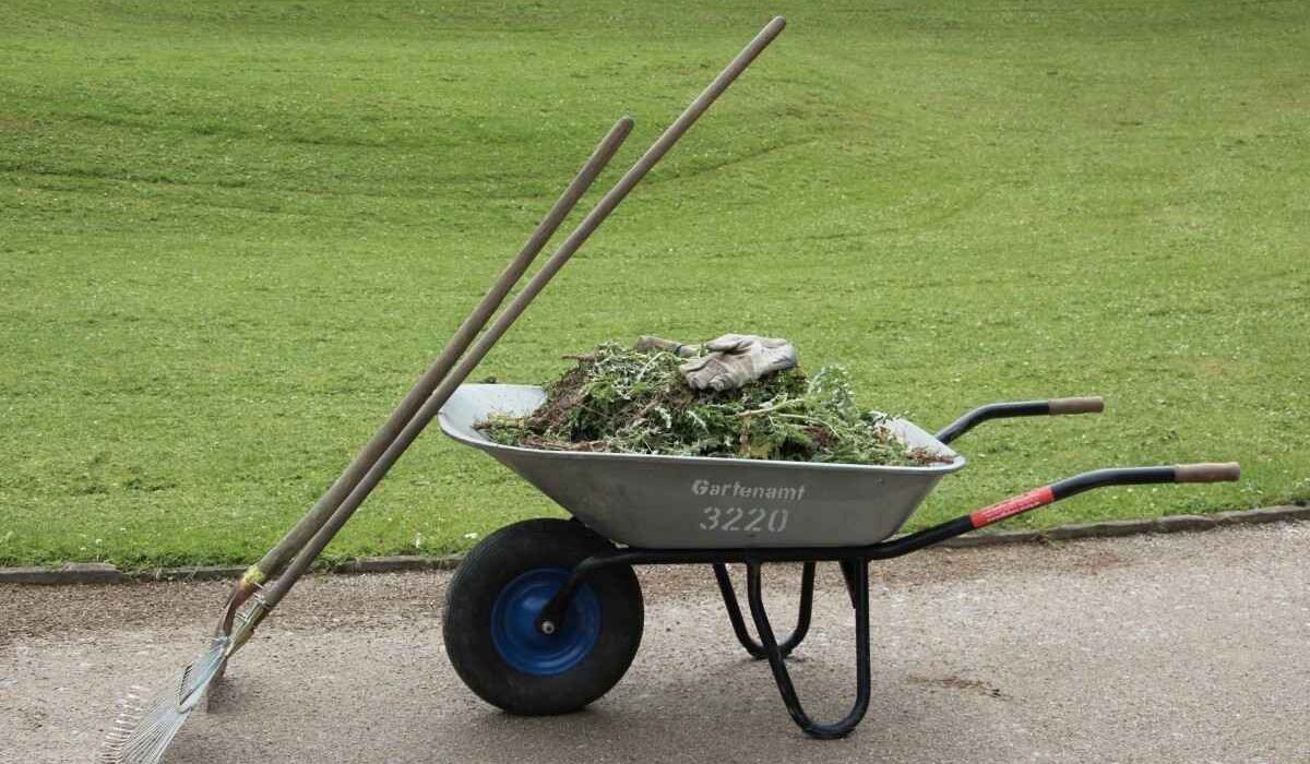 berkebun