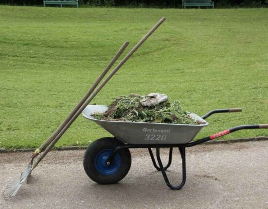 berkebun
