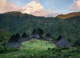 desa wisata