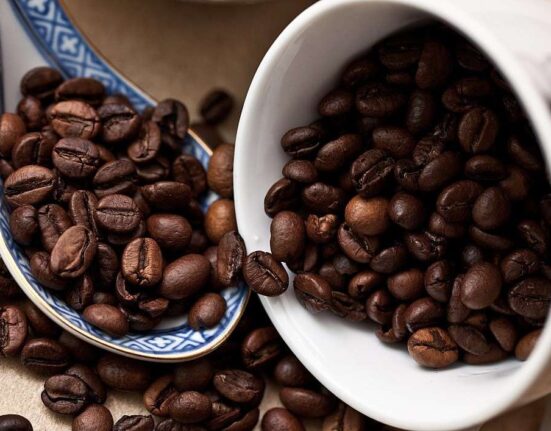 kopi robusta